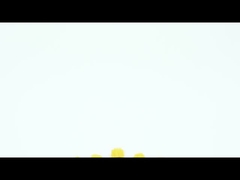 2pcs 掘削ブラシセット